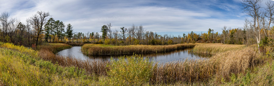 2S3A0795 Pano
