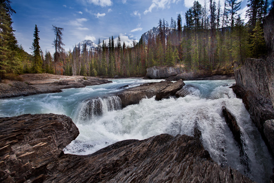 Landscapes, photo 34