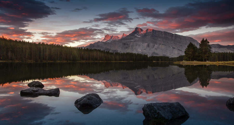 Landscapes, photo 40